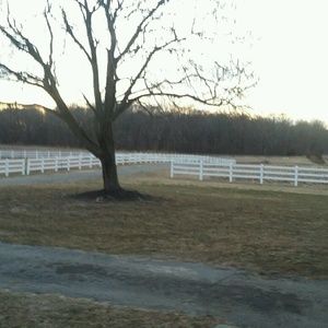 Meet your Posher, Robin